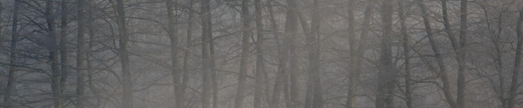 Zima - niezima