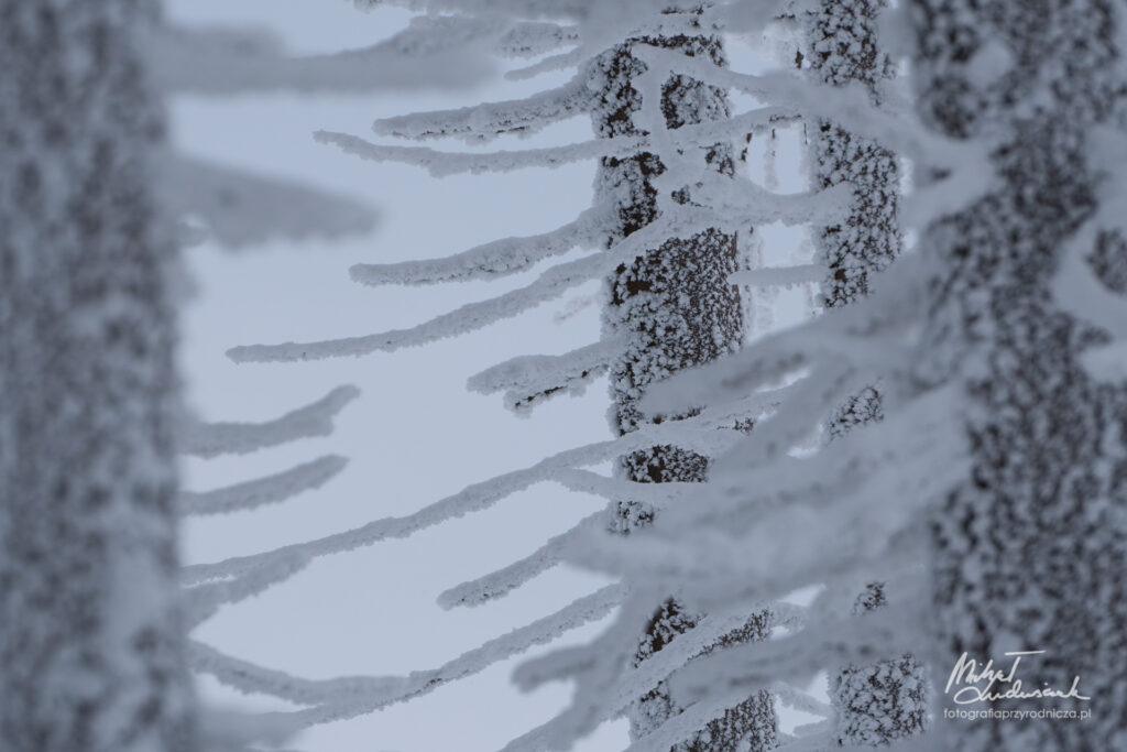 Zima na Skrzycznem