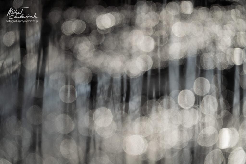 Wczesnowiosenny misz-masz