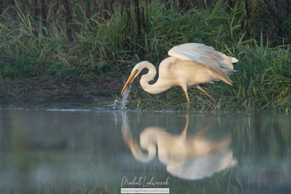 Finalny akord jesieni?
