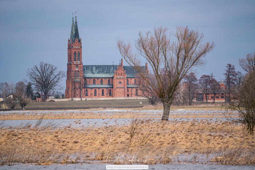 Urzekająca Dolina Słudwi