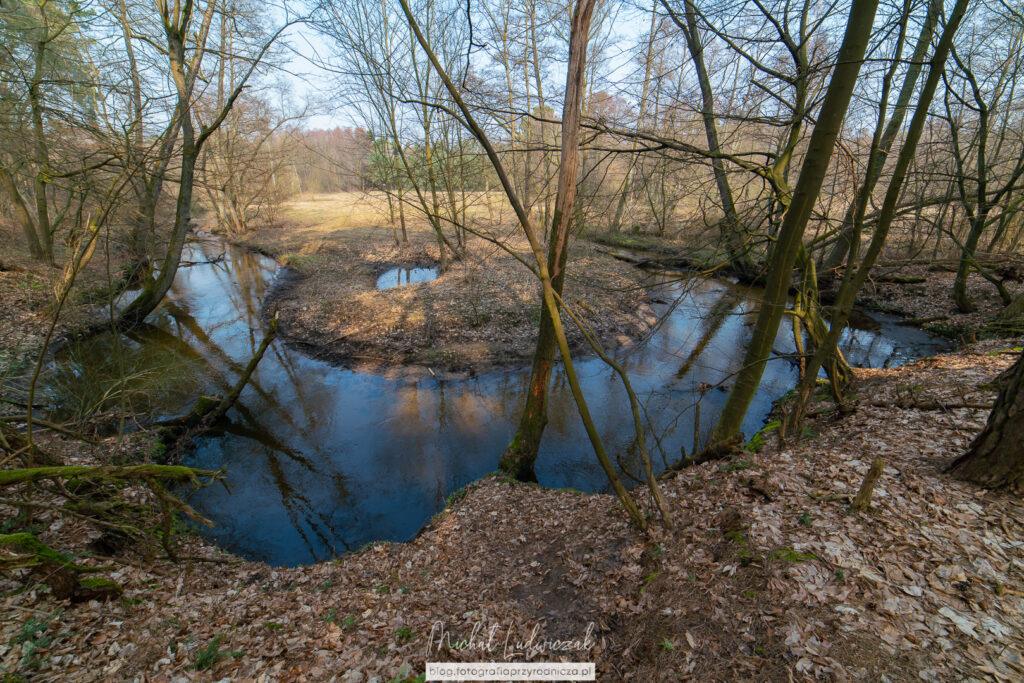 Wiosna nad Moszczenicą