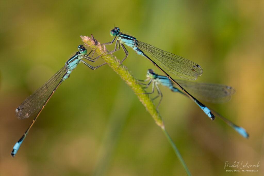 Jeziorska czas, cz.1