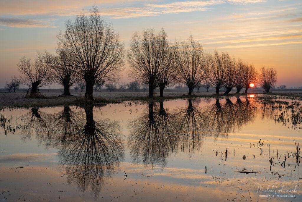 Wiosna w pradolinie i w lesie