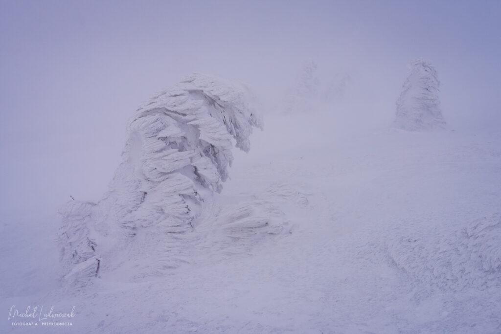 Zima na Pilsku po raz piąty