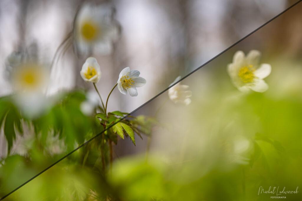 Sekundy robią różnicę