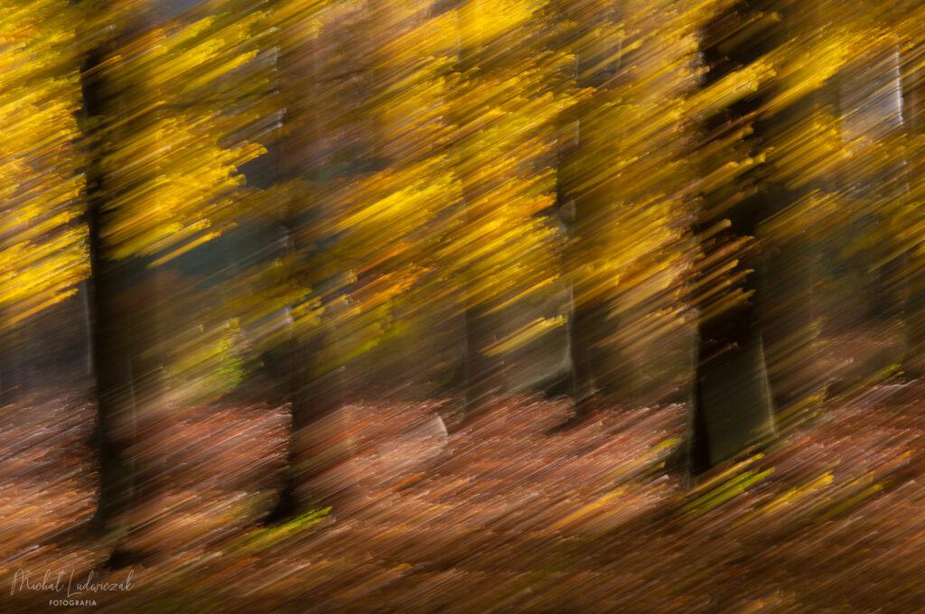 Tajniki fotografii poruszonej