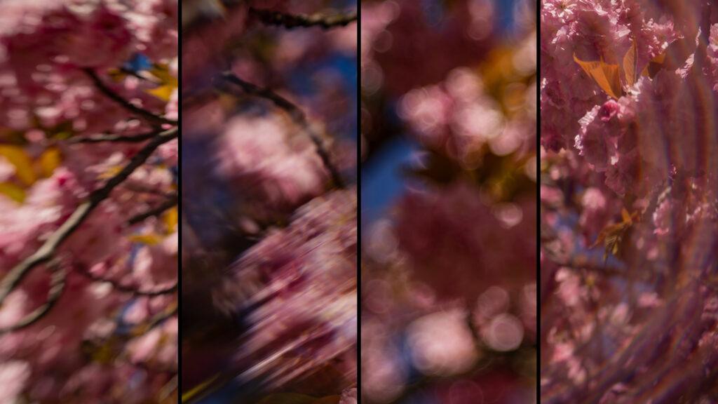 Tajniki kreatywności