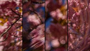 Tajniki kreatywności